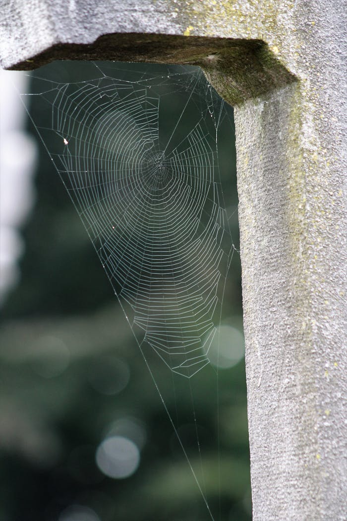 Close-up of a delicate spiderweb on a stone cross outdoors in the Netherlands.
